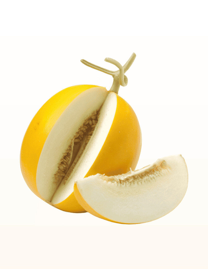 Melon Jaune